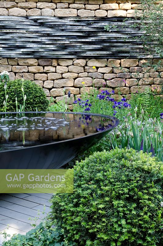 Elliptical pond surrounded by clipped Taxus baccata balls, Aquilegia vulgaris 'Blue Barlow', stone wall with bicycle wheels inlaid. Tour de Yorkshire, RHS Chelsea Flower Show 2014