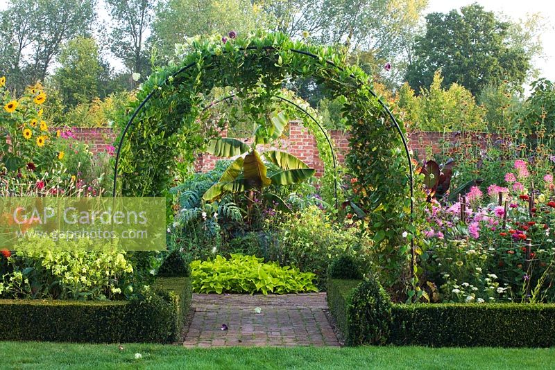 Archway with cobaea scandens, brick path through box edged beds 
