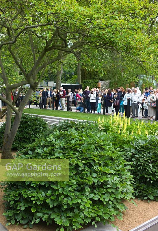 Crowds visiting the RHS Chelsea Flower Show