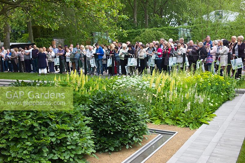 Crowds visiting the RHS Chelsea Flower Show, London. The Laurent-Perrier Garden. Winner of Gold Medal and Best Show Garden.