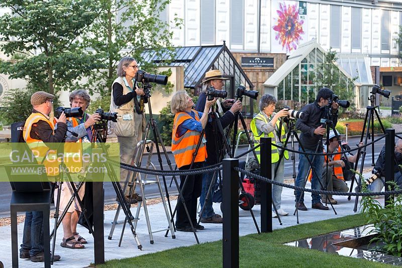 RHS Chelsea Flower Show 2014. The Photographers at one of the show gardens.