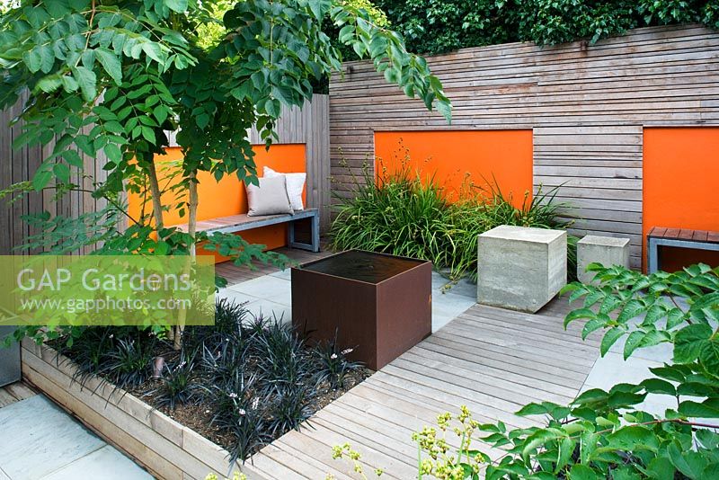 Modern contemporary garden in Brighton with decking, orange panels on walls, Ophiopogon and Aralia. 