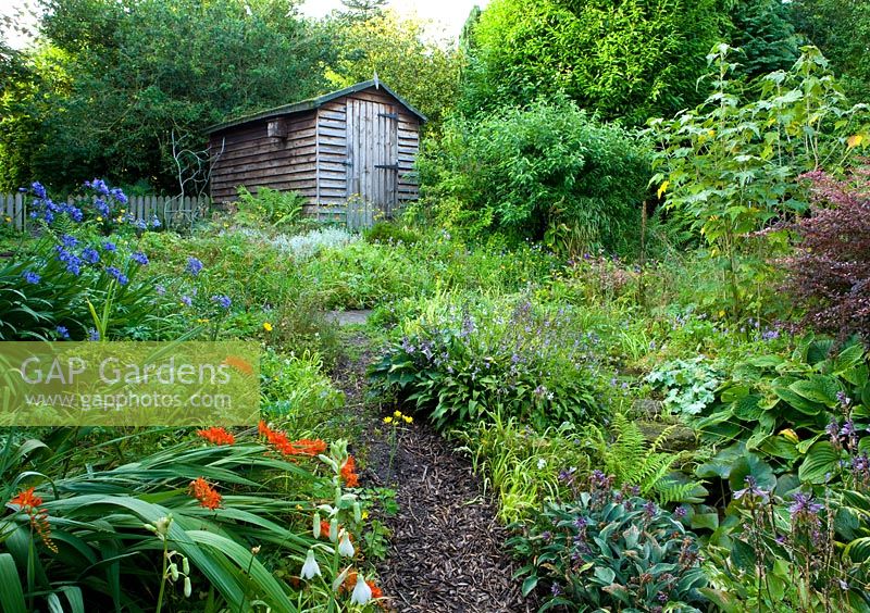 Pathway leading to shed - country garden and nursery 