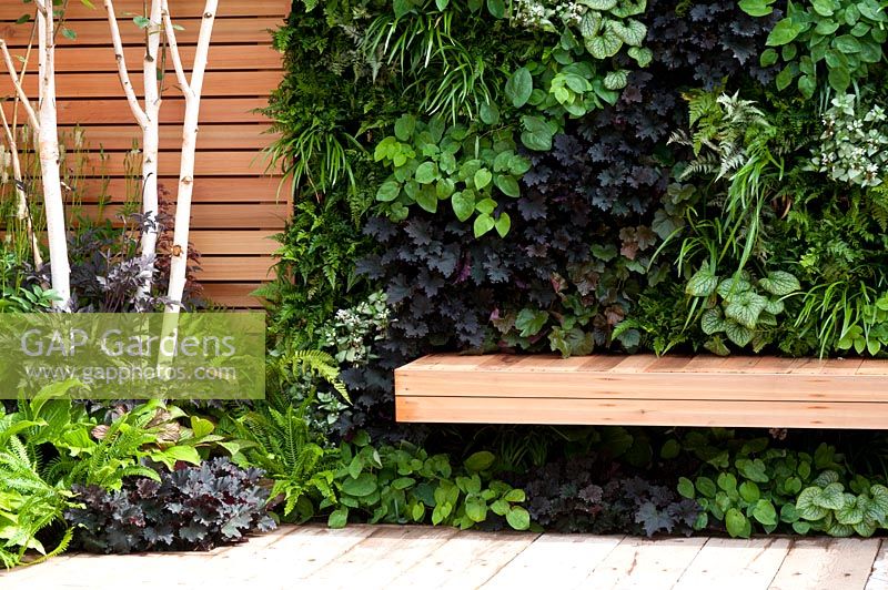Living wall with shade loving plants including ferns Heuchera, Epimedium and Brunnera and wall and bench of Cedrus - cedar wood in the Escape To The City garden at RHS Tatton Park Flower Show 2013