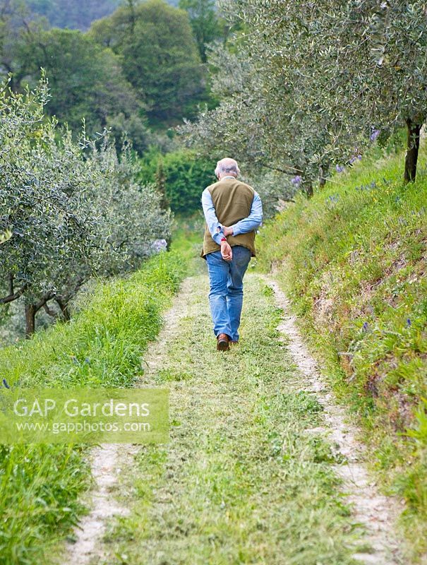 Paolo Pejrone walking through his olive grove