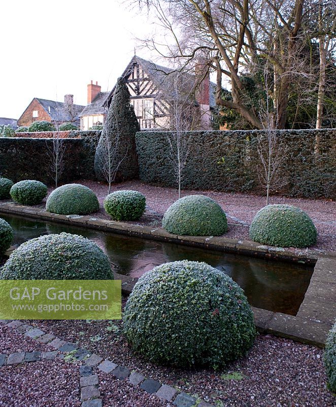 The rill garden - A wide canal lined with box topiary balls and fastigate carpinus with the house behind 