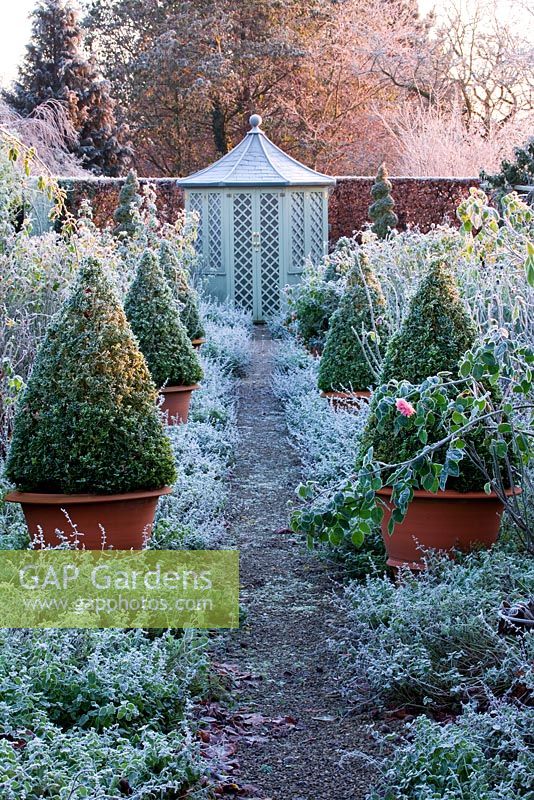 Path through the rose garden to a summerhouse with David Austin roses and terracotta containers with clipped buxus 