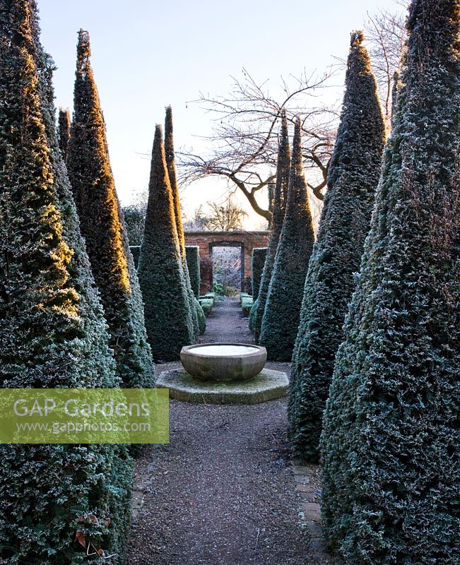 Winter garden in frost - the well garden with central limestone well head water feature surrounded by clipped topiary pyramid yews