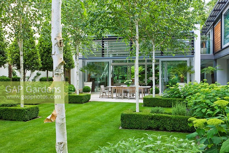 View across lawn to limestone patio with table and chairs, Betula jacquemontii - The Glass House, Petersham - Architects Terry Farrell Partners - Garden design by Sallis Chandler 
