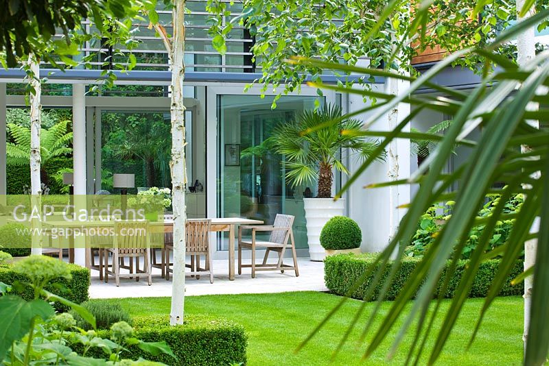 View across lawn to limestone patio with table and chairs, Betula jacquemontii - The Glass House - Architects Terry Farrell Partners - Garden design by Sallis Chandler 