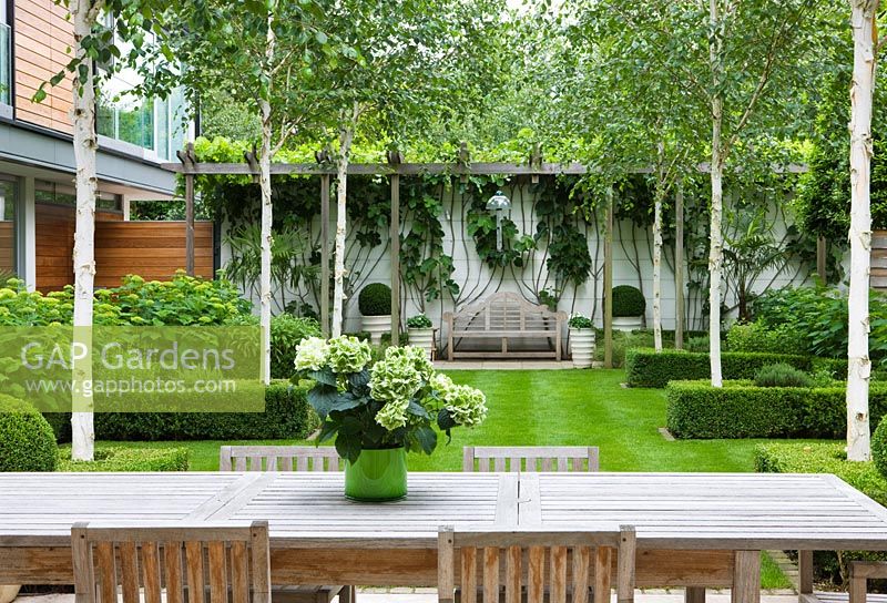 Wooden dining table and chairs, Betula jacquemontii and lawn - The Glass House - Architects Terry Farrell Partners - Garden design by Sallis Chandler
