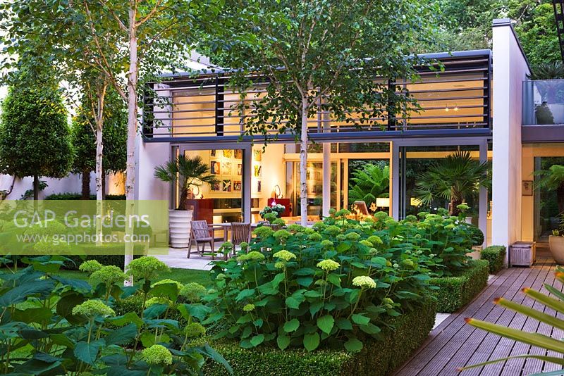 Night view of modern garden with glass pavilion, decking, Betula jacquemontii and Hydrangea 'Annabelle' - The Glass House, Petersham - Architects Terry Farrell Partners - Garden design by Sallis Chandler