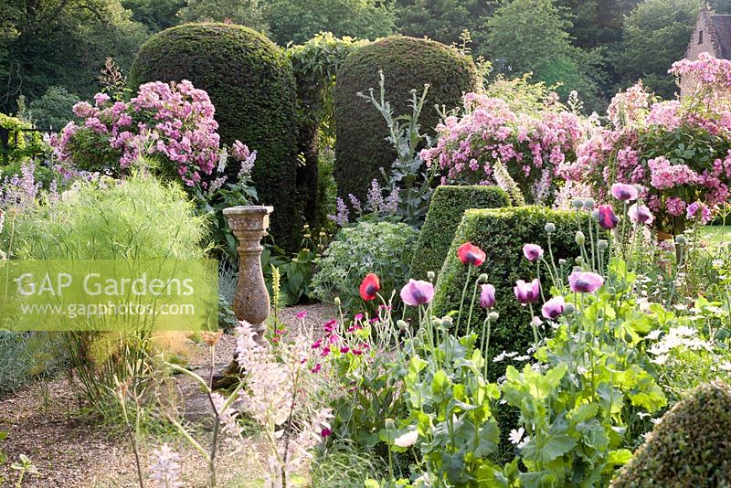 Decorative stone sundial amongst clipped topiary with summer planting of Rosa 'Ballerina' standards, Fennel, Papaver, Dianthus and Eryngium. Chenies Manor, Buckinghamshire