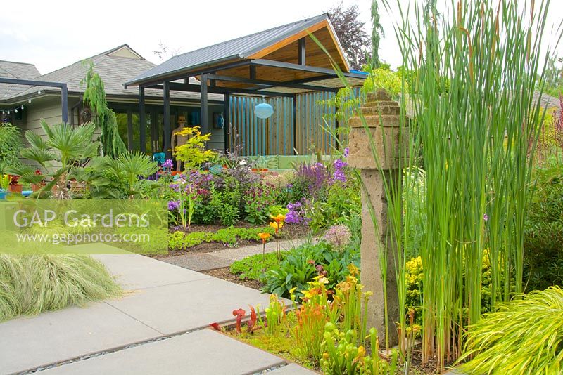 Outdoor living room in background with Asian-style stone column, stone paver landing, pathway and perennial borders. Typha latifolia - Common Cattail, Sarracenia flava var. rubricorpora - Pitcher Plant syn. Trumpet Pitchers, Trachycarpus wagnerianus - Windmill Palm. 