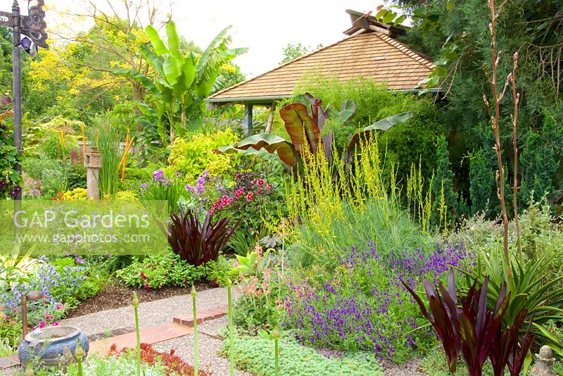 Summer mixed border with tiki house and garden art. Ensete ventricosum 'Maurelli' - Abysinnian Red Banana, Eucomis comosa 'Oakhurst' - Pineapple Lily.