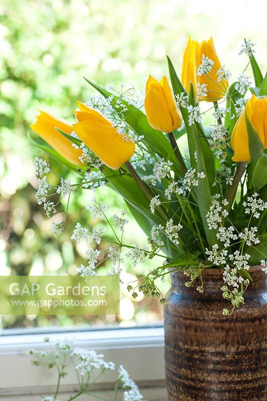 Yellow tulips with cow parsley in vase on windowsill