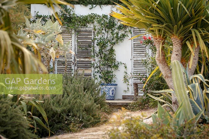 Mediterranean style beachside retreat with olive, pine and palm trees, 'En su Casa en la Playa - At Home on the Beach', show garden, RHS Malvern Spring Festival 2014