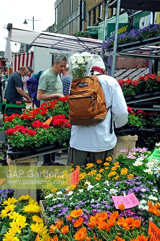 Man at plant stall with bunch of flowers in his rucksac, Chaple Market, London Borough of Islington.
