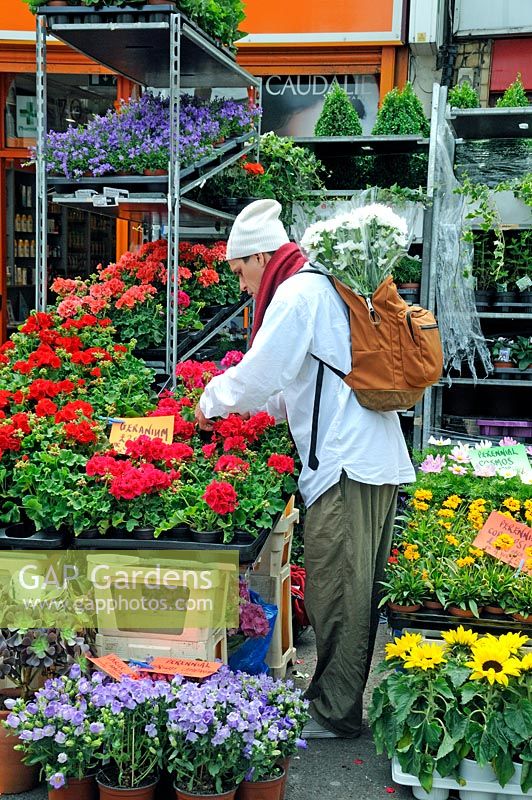 Man with bunch of flowers in his rucksac choosing bright red Pelargoniums from a flower stall, Chaple Market, London Borough of Islington, UK