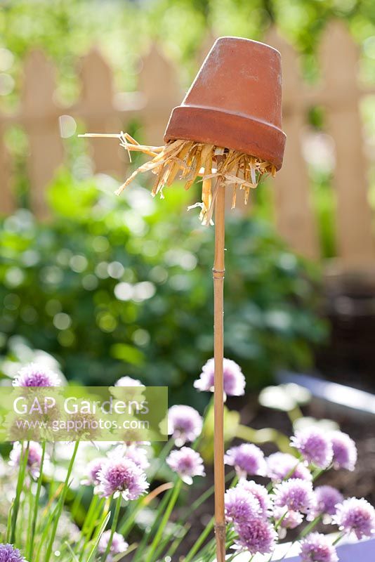 Upturned terracotta pot with straw used as a insect house.