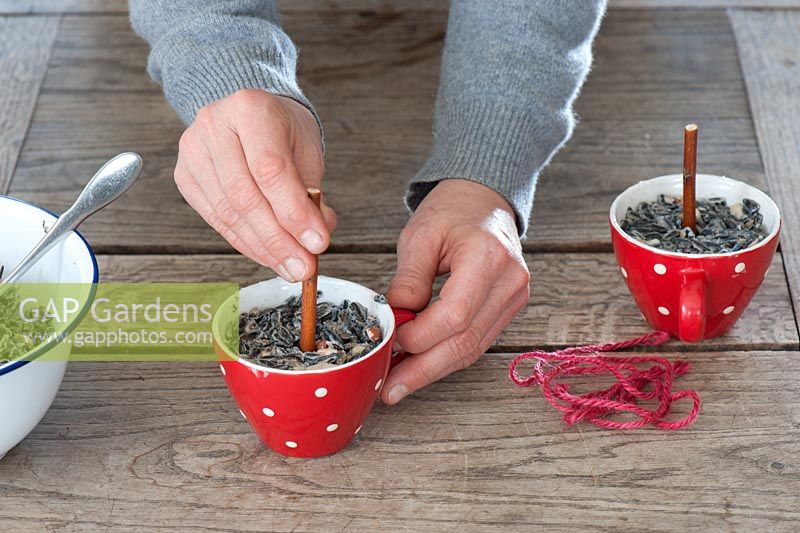 Bird food step by step - pushing twig into mix of fat and seeds in cups