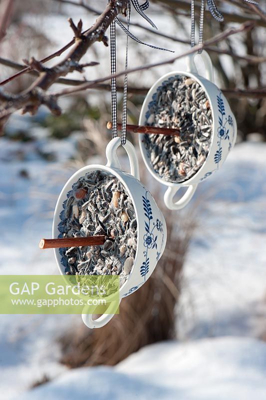 Bird food step by step - finished seed holders hanging from tree in winter