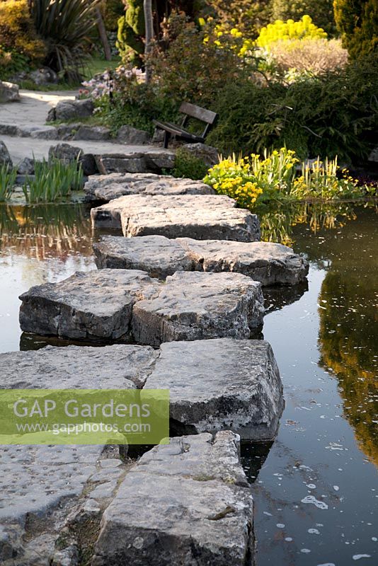 The Rookery, Preston Park Rock Garden, Brighton Sussex in spring with stepping stones across pond
