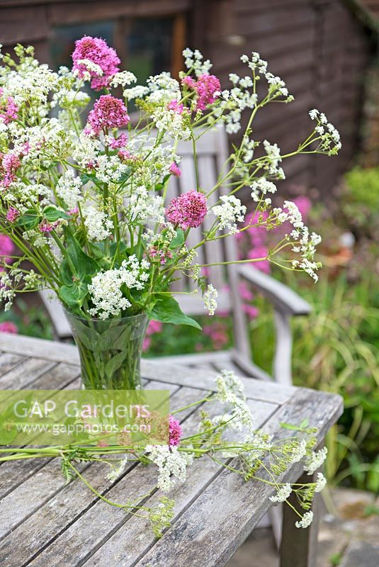 Outdoor flower arrangement in vase with Centranthus ruber - Red valerian and Torilis japonica -Upright Hedge parsley