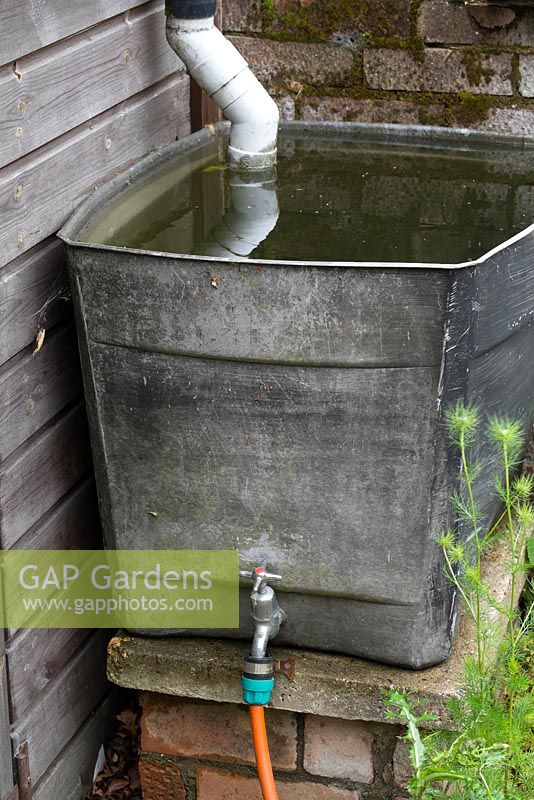 Garden water butt constructed form reclaimed loft water tank and domestic sink tap.
