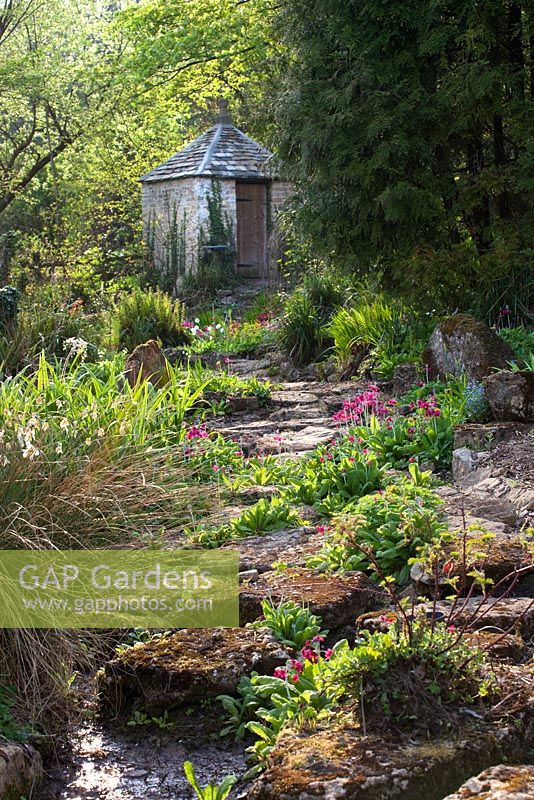 Bog garden - Cotswold Farmhouse 
 