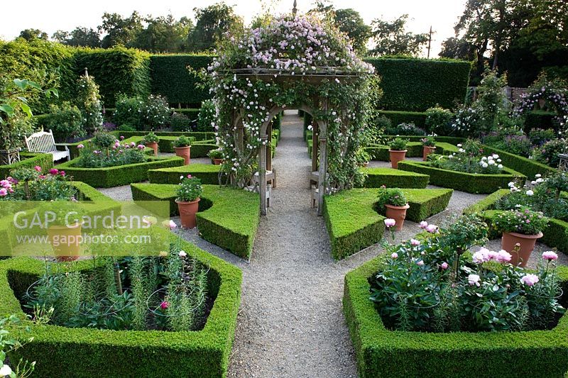 Aerial view of parterre garden with romantic English traditional style with layout of box hedging infilled with peonies and a central arbour covered with climbing roses including Rosa 'Awakening'  - Seend, Wiltshire