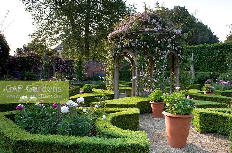 Arbour with Rosa Awakening in box parterre with white peonies and containers. Seend, Wiltshire