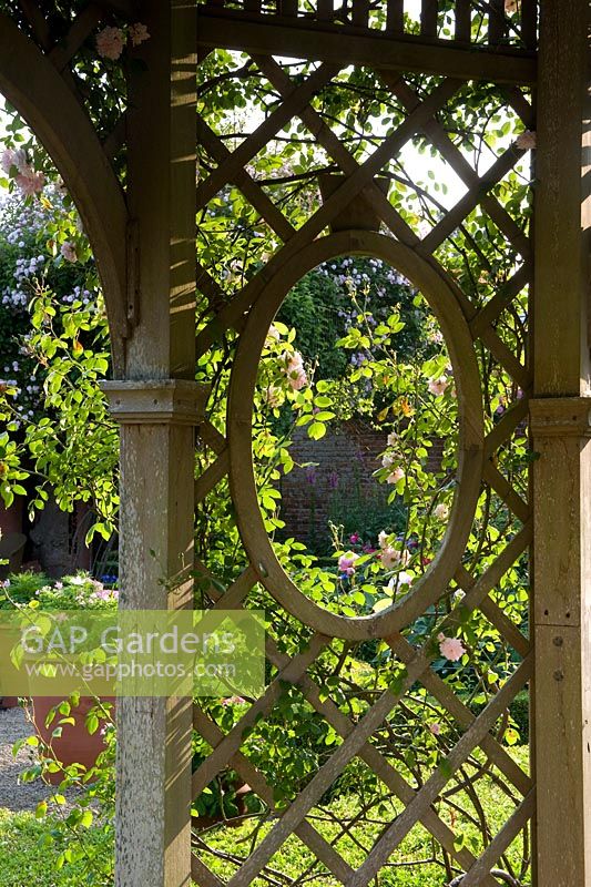 Detail of wooden trellis window with climbing roses. Seend, Wiltshire