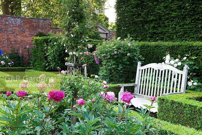 Romantic English walled country garden with ornamental seat, peonies and box hedging.  Seend, Wiltshire