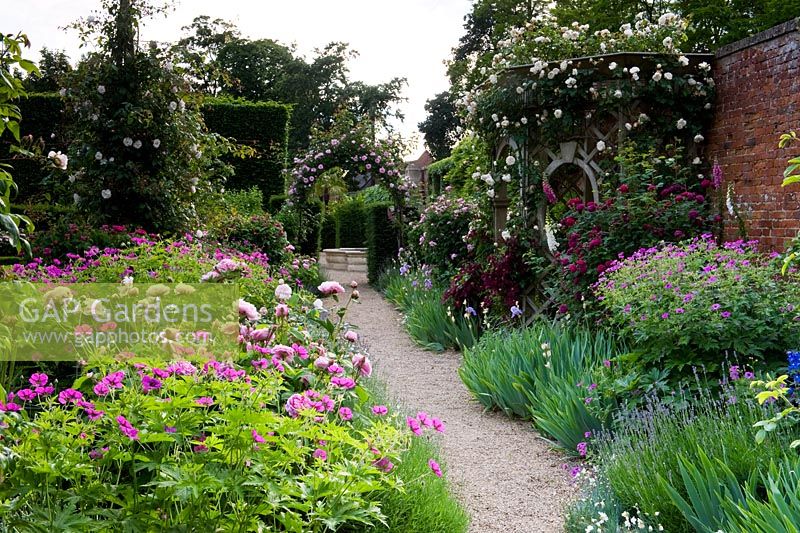 View along gravel path with colourful border including Peonies and Geranium psilostemon. Against a high wall is a wooden rose arbour seat with Rosa 'Sombreuil' - Seend, Wiltshire