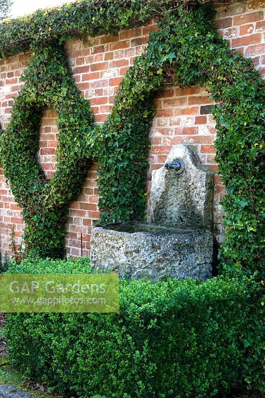 Wall with stone sink water feature set into pattern of Ivy trained on wires in repetitive pattern - Seend, Wiltshire