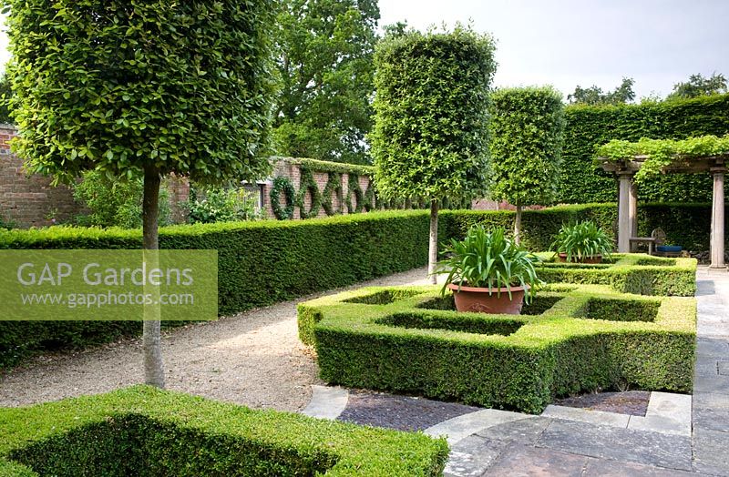 Italianate garden with simple box parterre and topiary trees. Agapanthus in pots. Trained ivy on wall.  Seend, Wiltshire