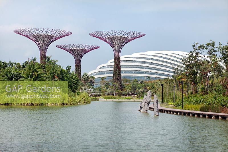 Supertrees and the Flower Dome by the Silver Garden, Gardens by the Bay, Singapore