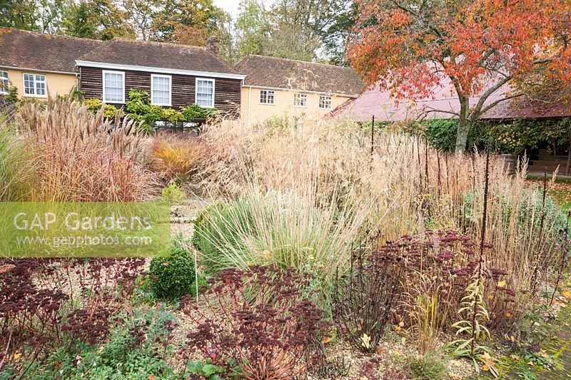 Gravel path leading into the central circular bed framed by miscanthus, rosemary, Stipa gigantea, salvias, Sedum 'Purple Emperor' and Calamagrostis brachytricha, with prunus turning orange against red oxide barn roof behind. Broughton Buildings, Broughton, nr Stockbridge, Hants, UK