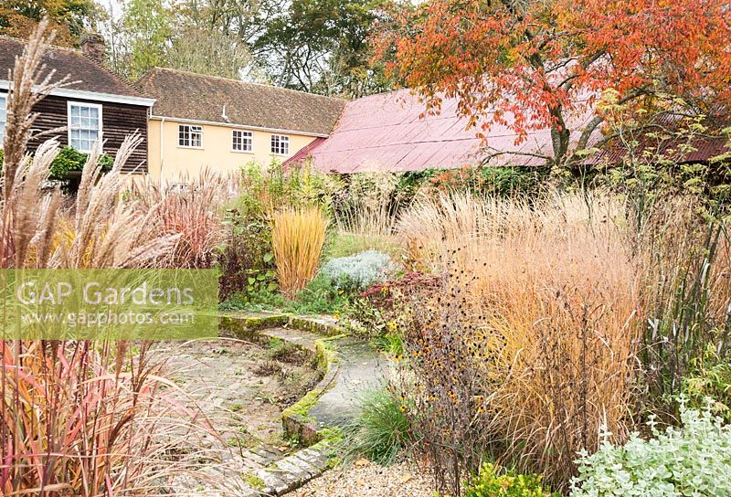 Central circular bed in the walled garden is a colourful mix of grasses, herbaceous perennials such as bronze fennel and evergreens including Ballota pseudodictamnus, against intense orange prunus foliage and red oxide corrugated barn roof. The Buildings at Broughton, near Stockbridge, Hants
