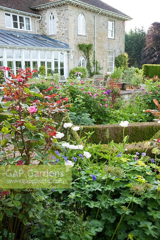 Box edged beds on the formal terrace contain roses including stripey Rosa 'Ferdinand Pichard' underplanted with hardy geraniums and alliums. Forest Lodge, Pen Selwood, Somerset, UK