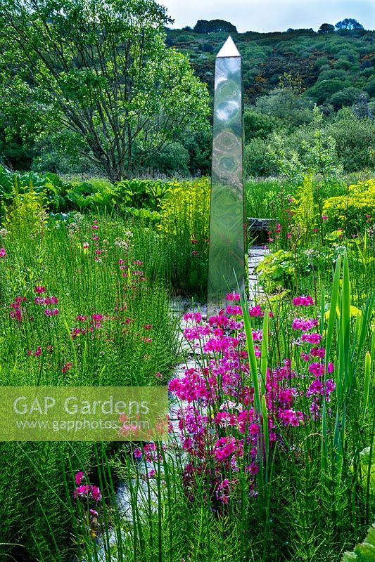 The Bog garden, with stainless steel obelisk and slate slab path and Primula japonica. Dyffryn Fernant, Fishguard, Pembrokeshire, South Wales