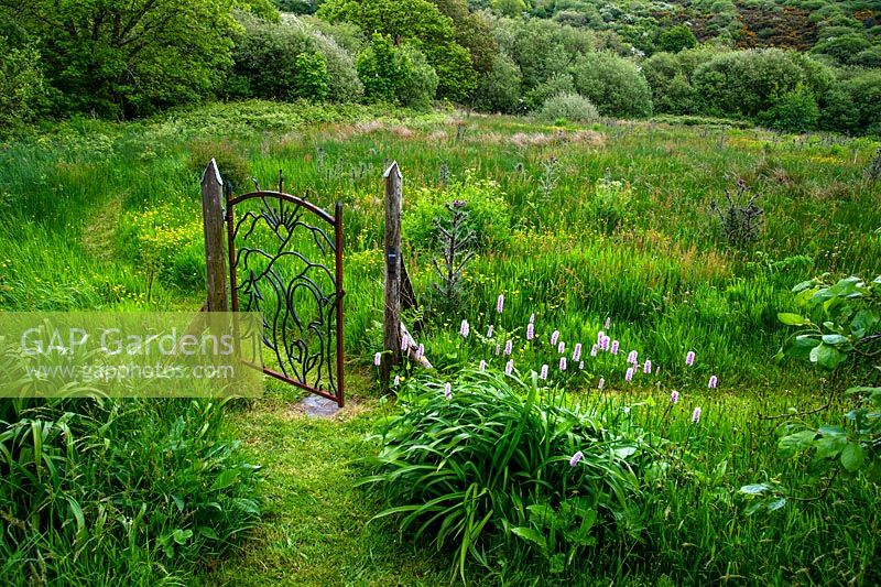 The writers gate leading to Waun Fach a wild Welsh marsh. Dyffryn Fernant, Fishguard, Pembrokeshire, South Wales