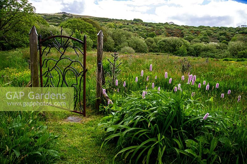 The writers gate leading to Waun Fach a wild Welsh marsh. Dyffryn Fernant, Fishguard, Pembrokeshire, South Wales