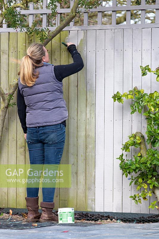 Woman painting a garden fence.