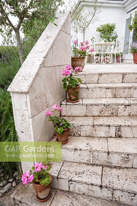 Steps and terrace are made of white travertine, with pots of pink pelargoniums and citrus trees adding to a Mediterranean feel. Parc-Lamp, Ruan Lanihorne, Truro, Cornwall, UK