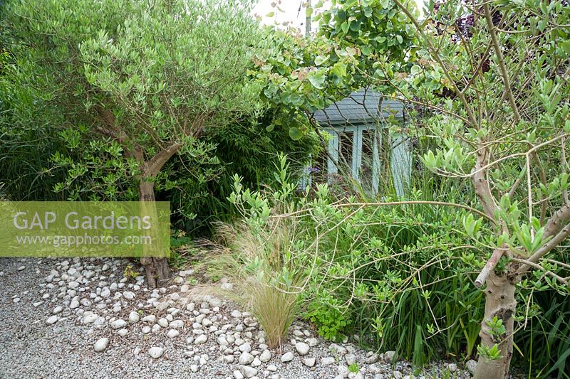 Summerhouse hiden behind interesting foliage plants next to area with gravel and pebble surface. Parc-Lamp, Ruan Lanihorne, Truro, Cornwall, UK