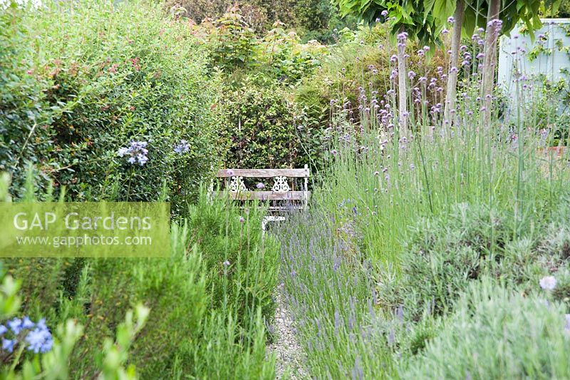 A narrow gravel path squeezes between Flowerbeds with lavender and rosemary leading to a seat. Parc-Lamp, Ruan Lanihorne, Truro, Cornwall, UK
