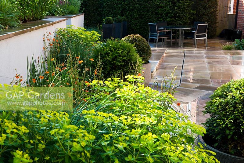 Patio with border of Geum, Euphorbia and Golden Yew
