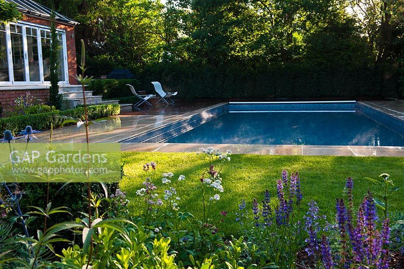 Modern split level garden with pool